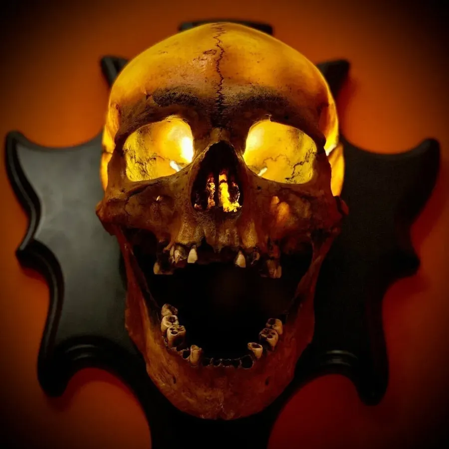 Skull Lamp“Singing Head”Night Light