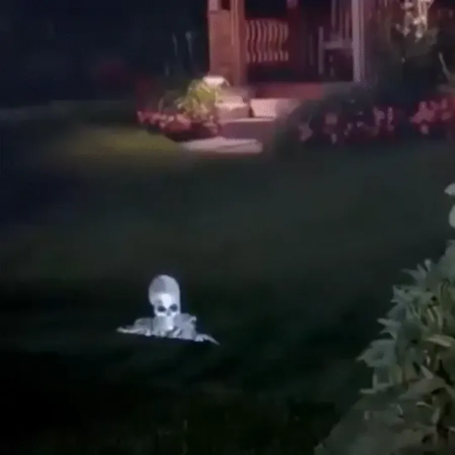 Halloween Holographic Projection