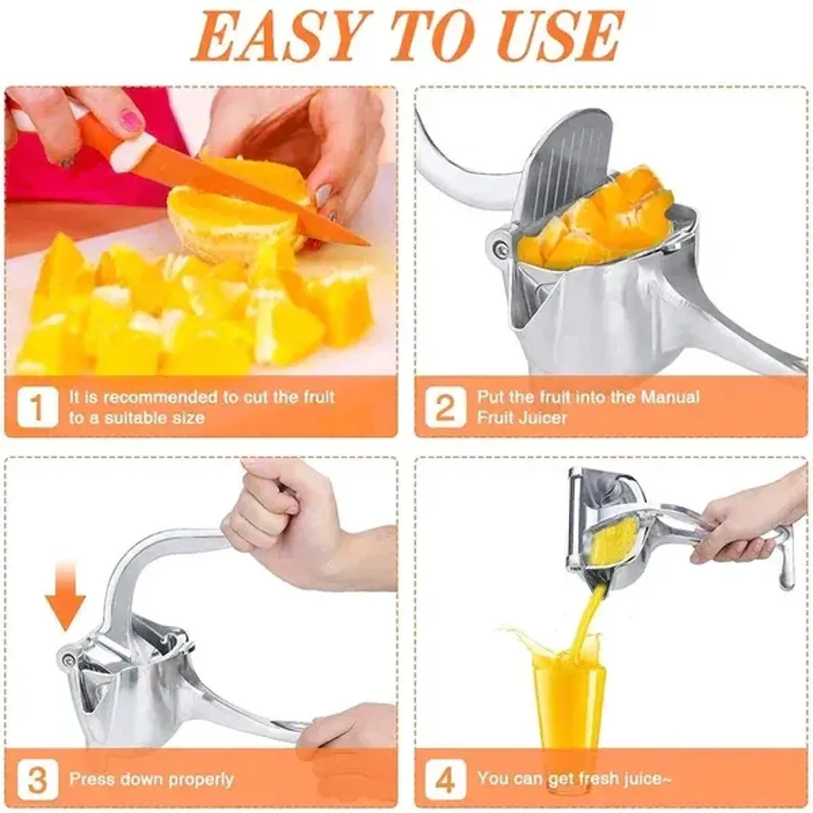 Stainless Steel Fresh Fruit Juice Extractor