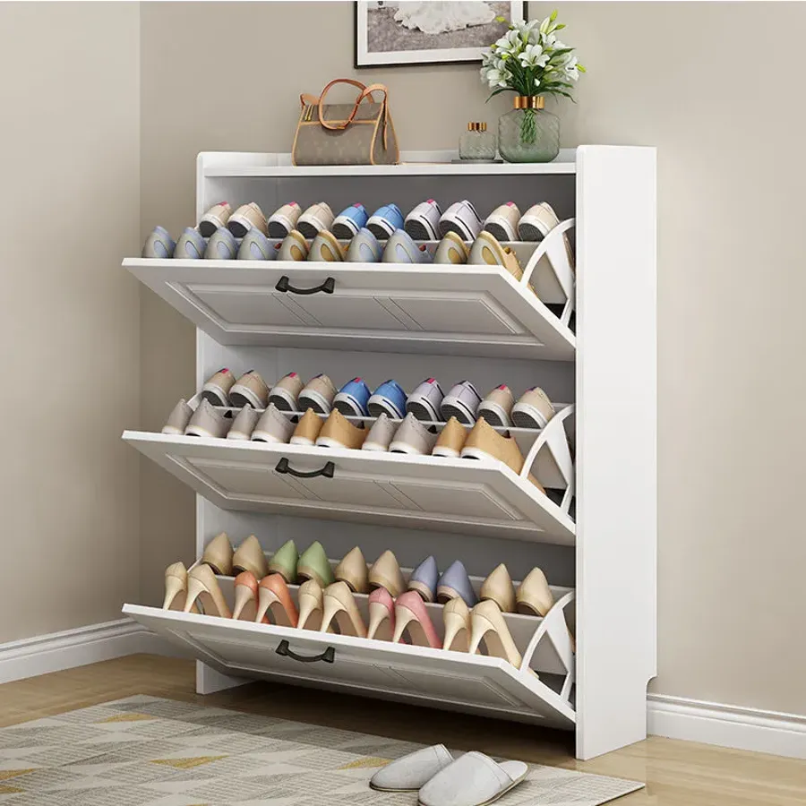 Wall Hidden Shoe Cabinet